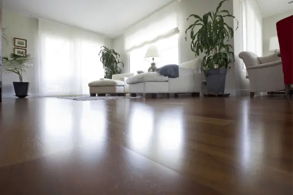 Budget-friendly Laminate Flooring
