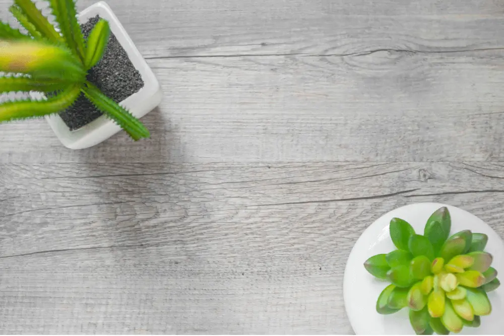 Sustainable Eco Friendly Flooring